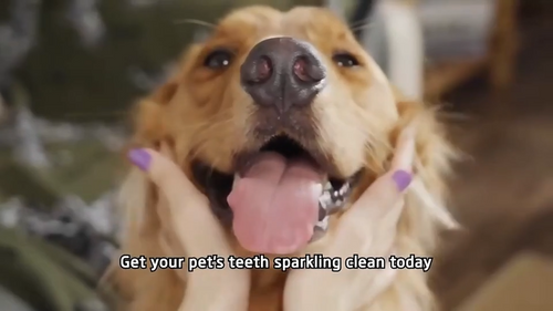 Shedhaus Grooming Wipes gallery 1